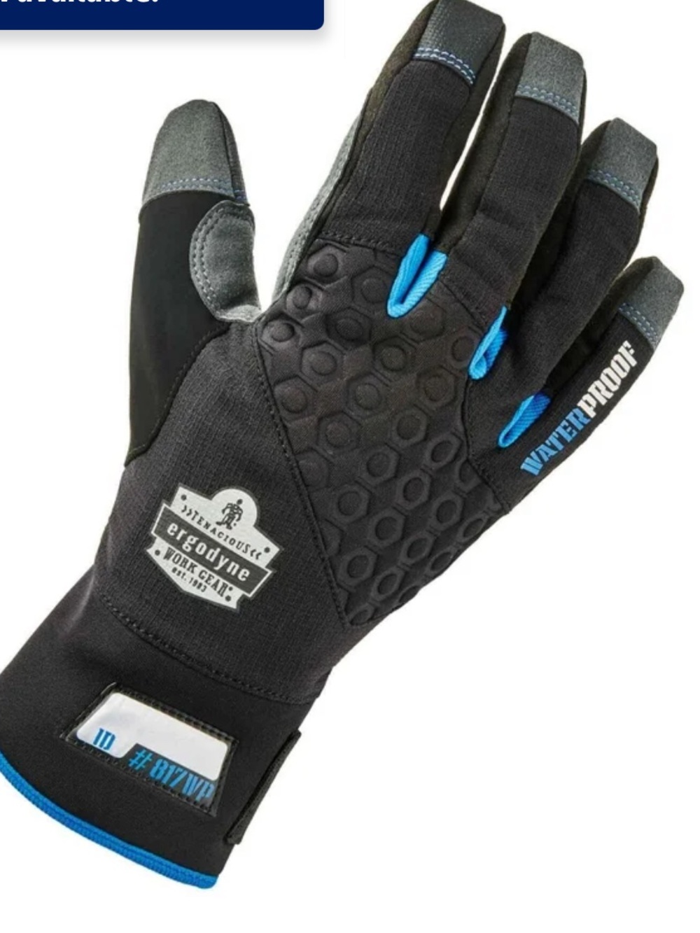 Ergodyne Waterproof Men's Black Gloves with Blue Accents